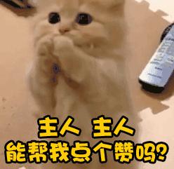 两地争夺广州恒大国奥小将？鄂媒：武汉人，渝媒：重庆崽儿