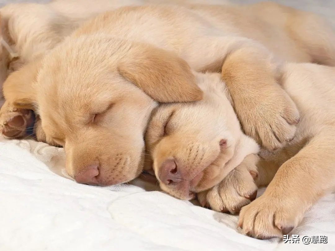 晨跑的优点图片,晨跑最独特的五大好处你知道吗