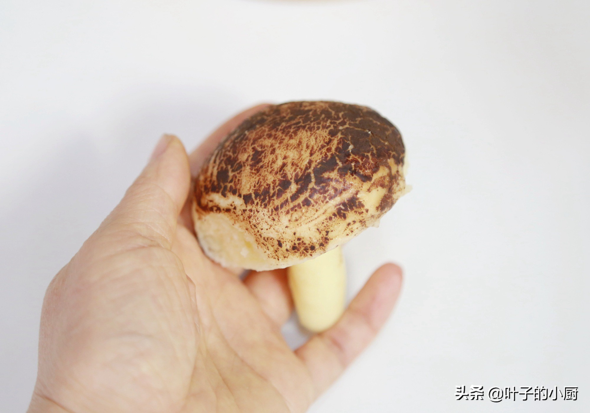 不会揉面做馒头怎么办,不会做馒头