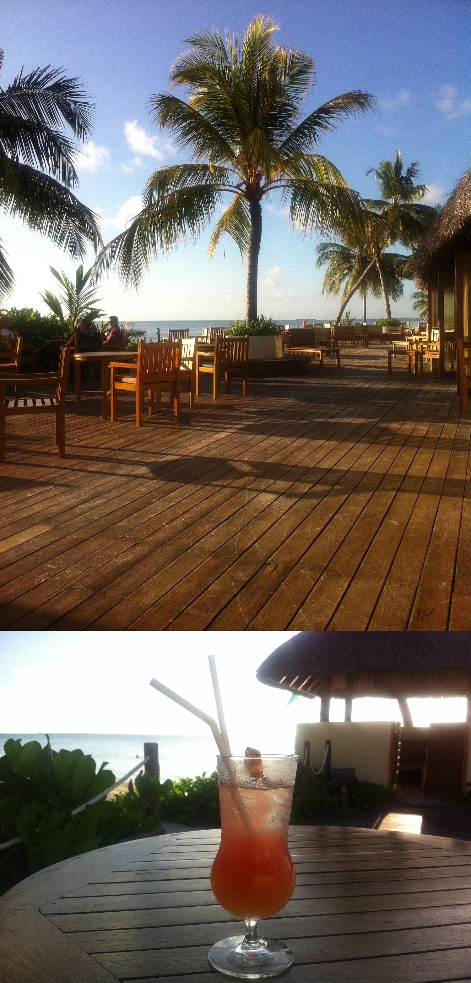 马尔代夫游玩攻略跟团,马尔代夫thinadhoo上岛费用多少