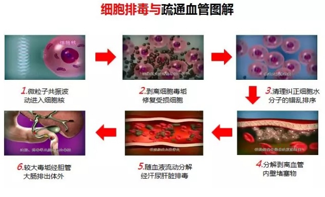 38届成都国际珠宝展览会时间表,第38届成都国际珠宝展报名