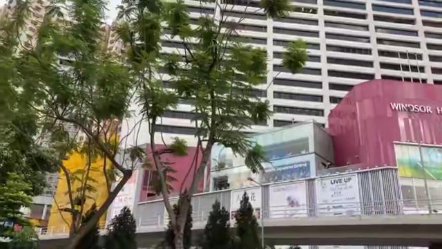 老公痴迷炒股谁劝都不听,老公只迷恋炒股该咋办