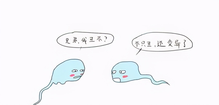 弱精子少精症可以根治吗,男子少精弱精的中医治疗
