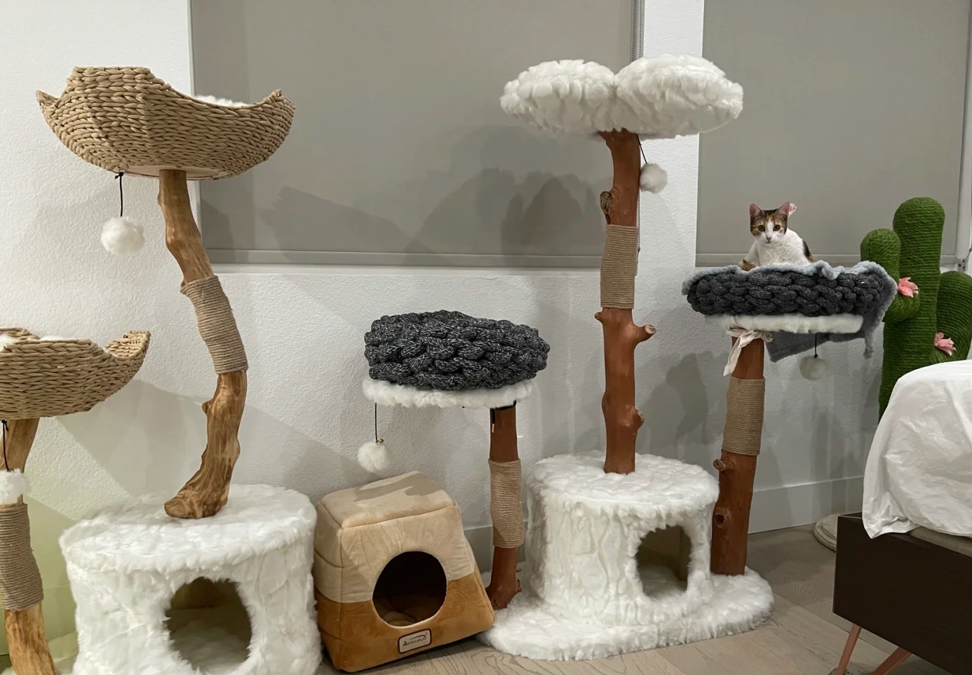 装修分享|养猫指南：铲屎官必看家装攻略