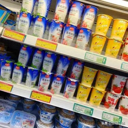 疆新域酸奶,新款新疆伊犁酸奶