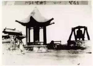 涨知识是什么原因,涨知识的另一种说法