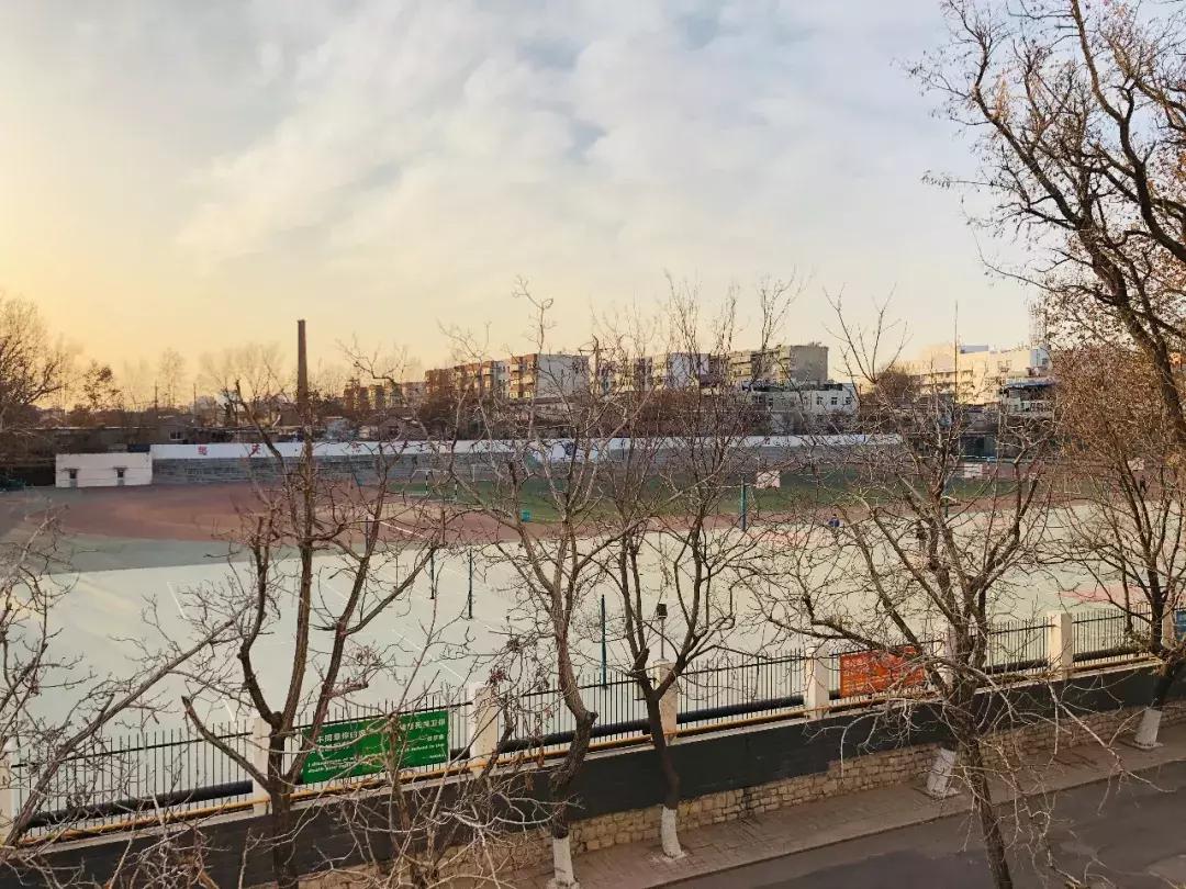 山东科技大学,不再见!