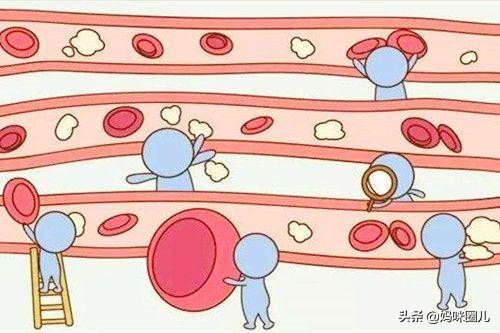 母体血型不合会胎停吗,母体胎儿血型不合胎儿水肿能要吗