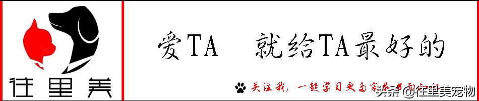 猫咪铲屎官有哪些表现症状,铲屎官确诊了家里的猫咪怎么办