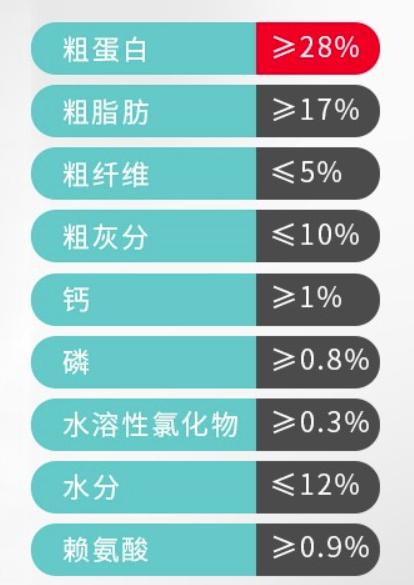 进口狗粮有什么推荐的吗,小众品牌狗粮推荐