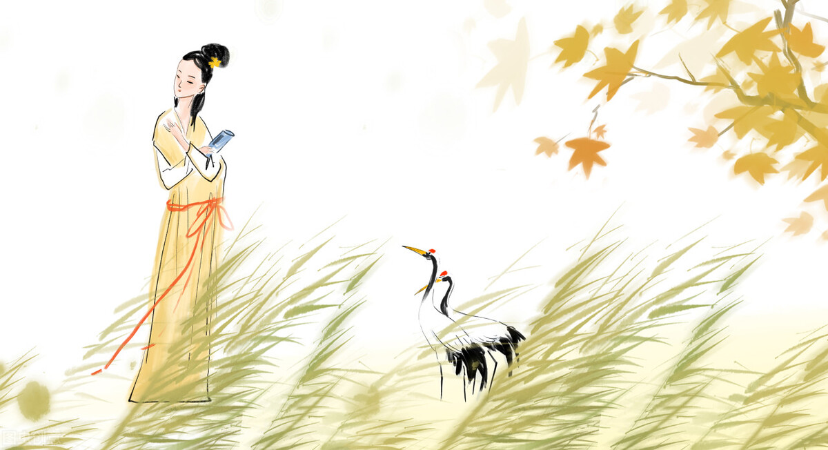 诗与词有什么相同和不同,诗和词的相同点和区别