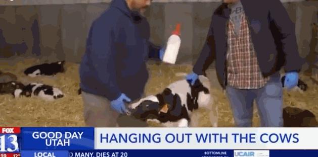 盘点主持人翻车尴尬场面,中央电视台主持人翻车集锦