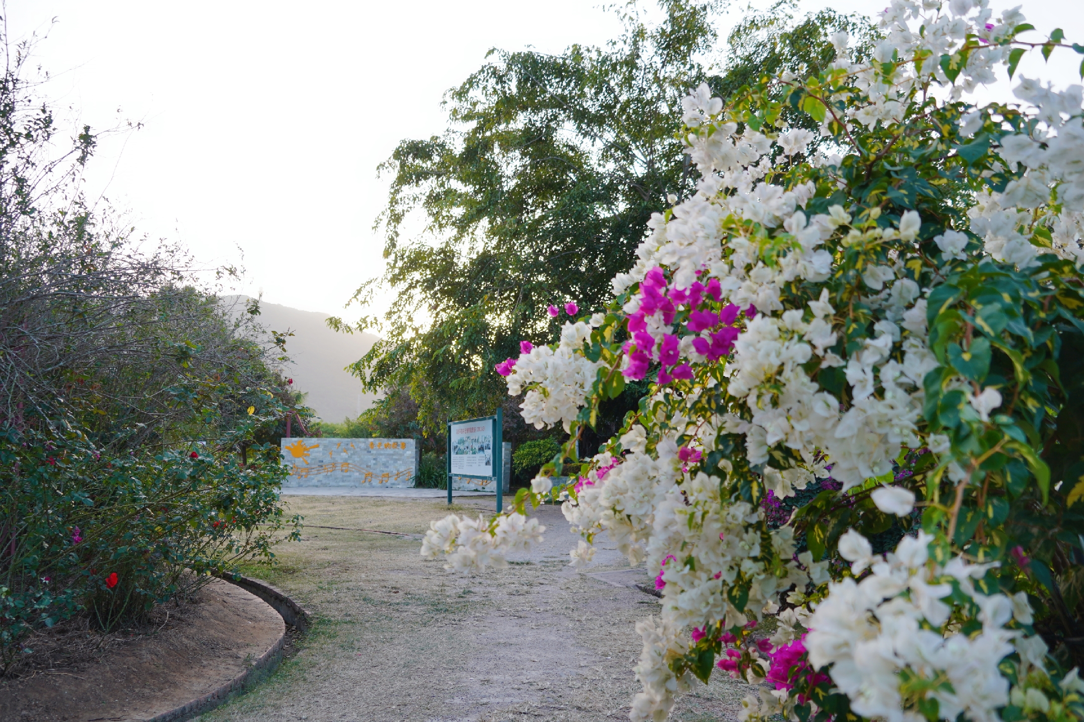 5天4晚畅游三亚攻略,三亚旅行3000玩转四天三夜