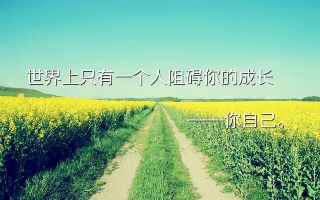 适合发朋友圈的22条心灵鸡汤语录,2019心灵鸡汤霸气语录