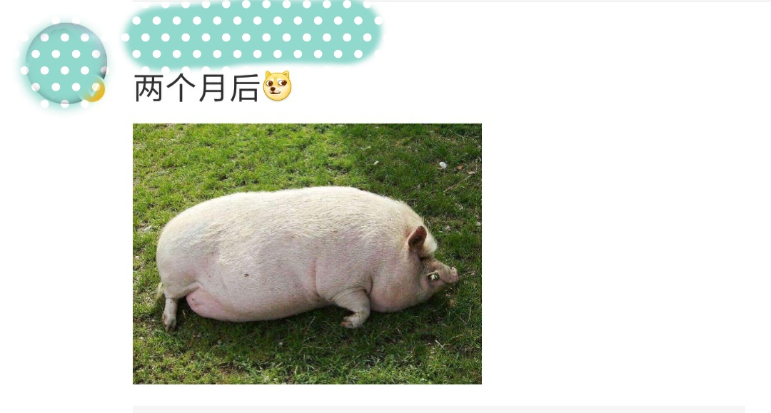 宋茜赵丽颖最新综艺节目,赵丽颖宋茜最新视频