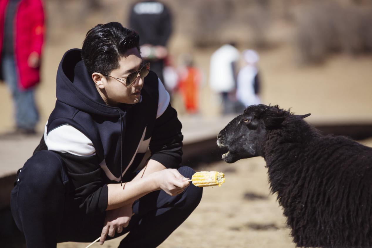 唐一菲穿搭,唐一菲有多霸气合集