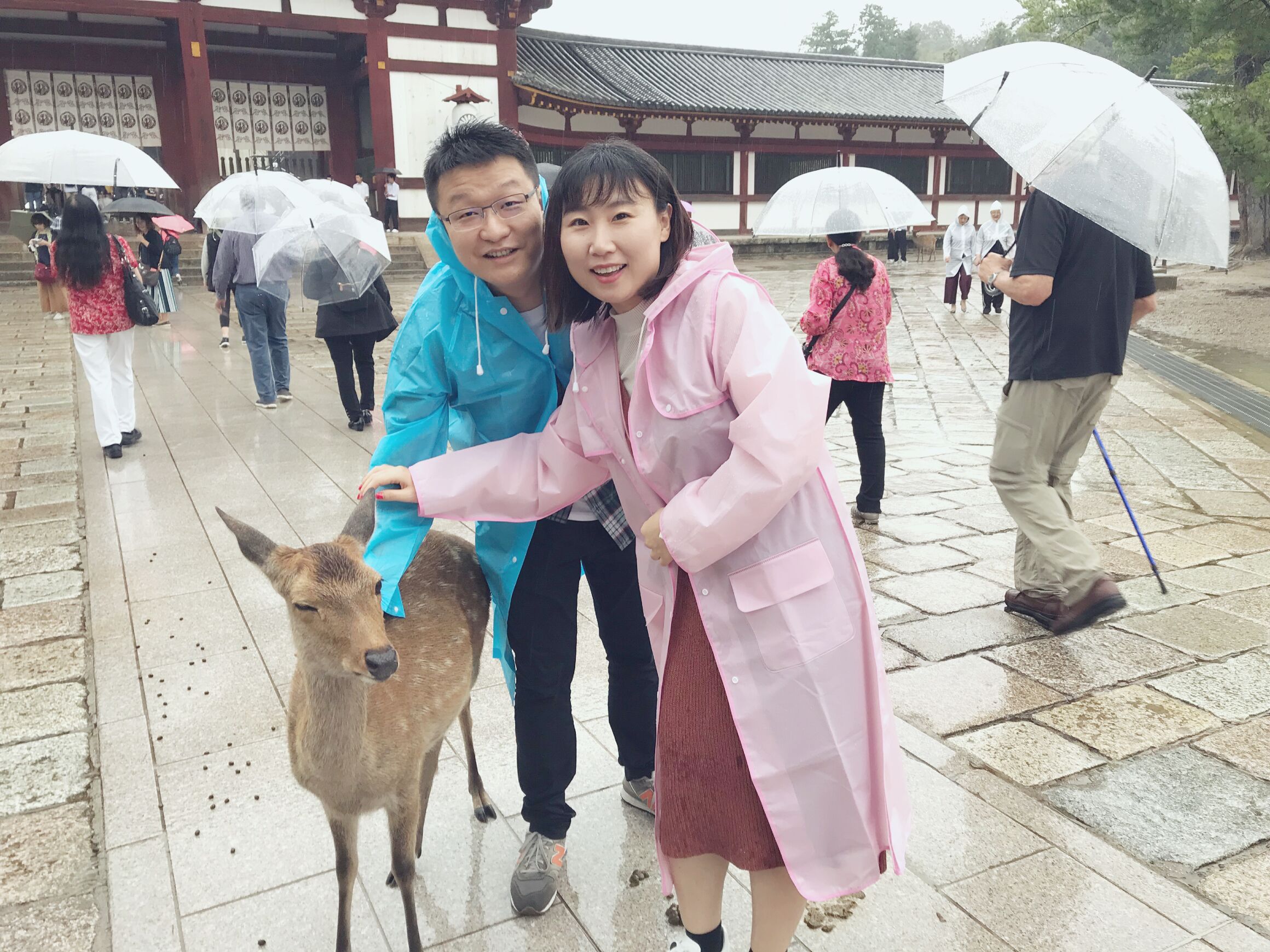 日本旅游攻略本州双古都7天,日本本州六日游攻略