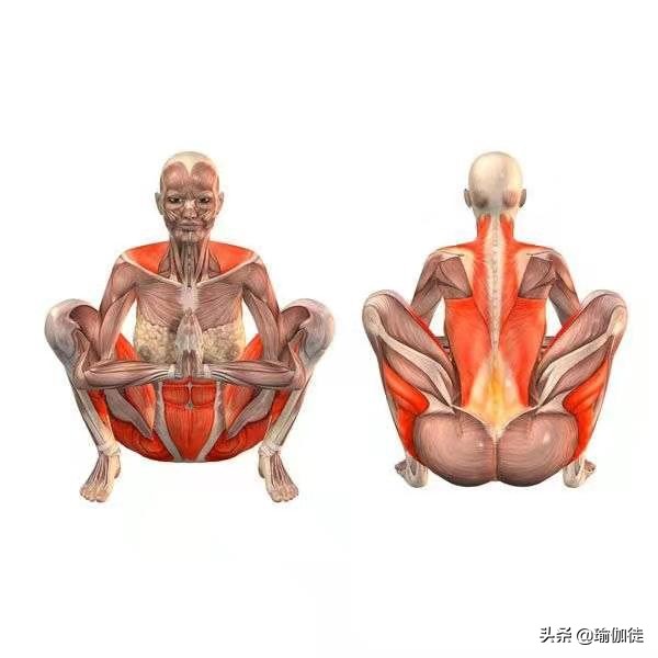 瑜伽的体式和传说,瑜伽体式的神话故事