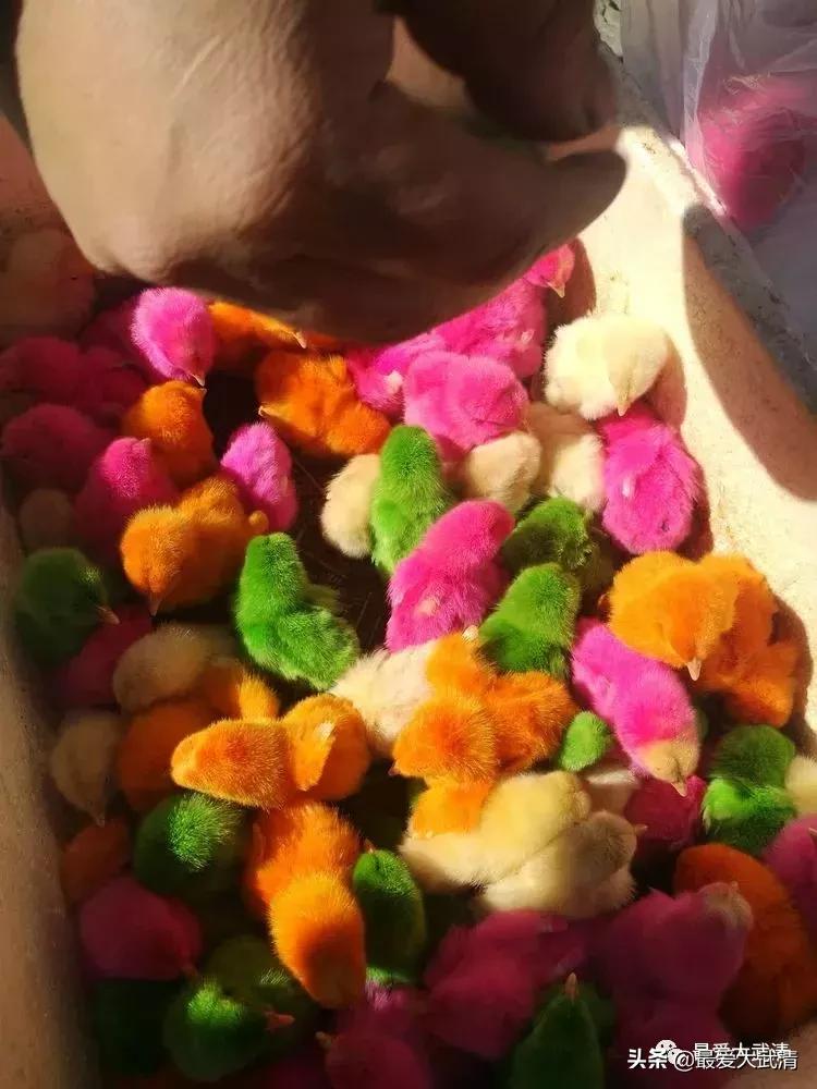 武清六道口的都来看看!写的太好啦!