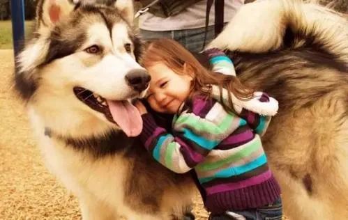 妈妈训孩子狗子护孩子,家长教育孩子对待宠物