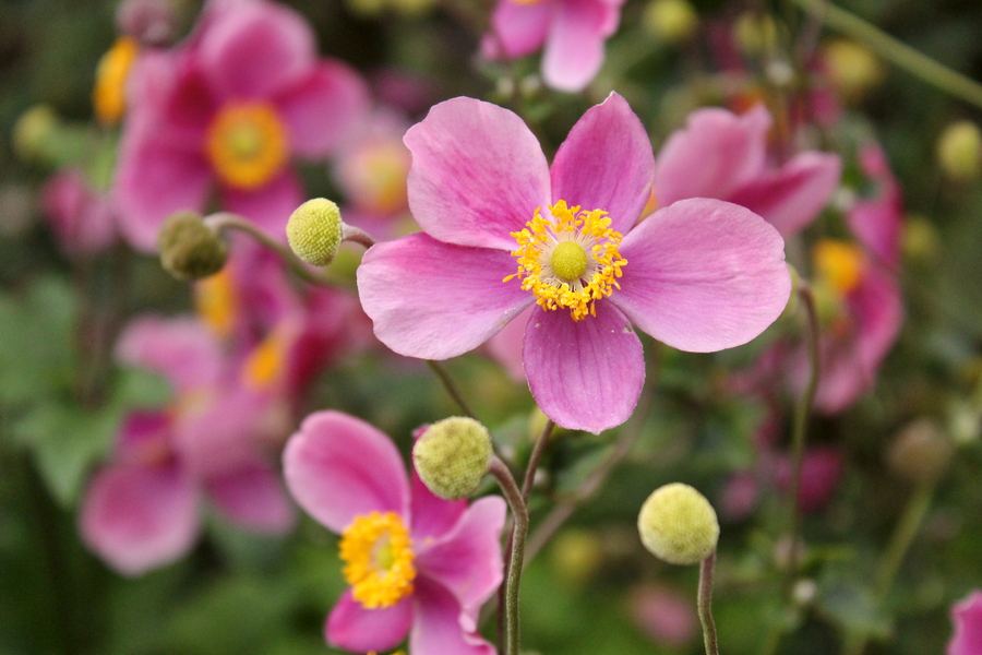 打破碗有什么症状,打破碗治什么病