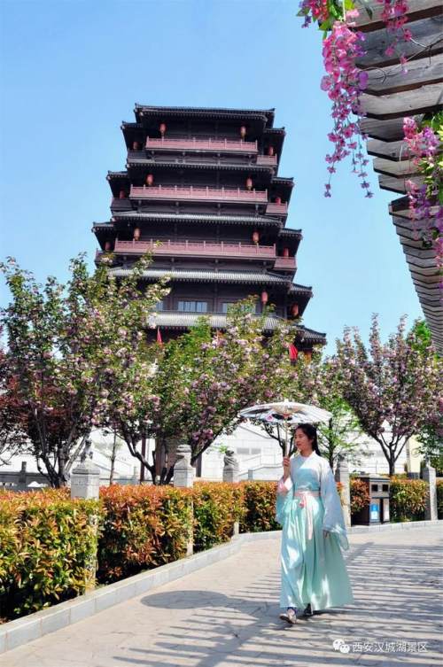 西安的夏天是什么颜色的,西安的春天有多美