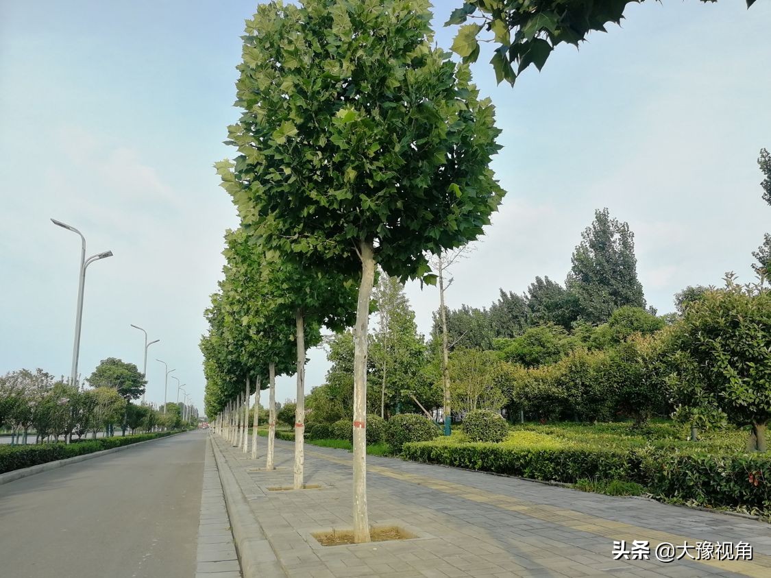 平顶山以前属于几线城市,平顶山四个区域划分