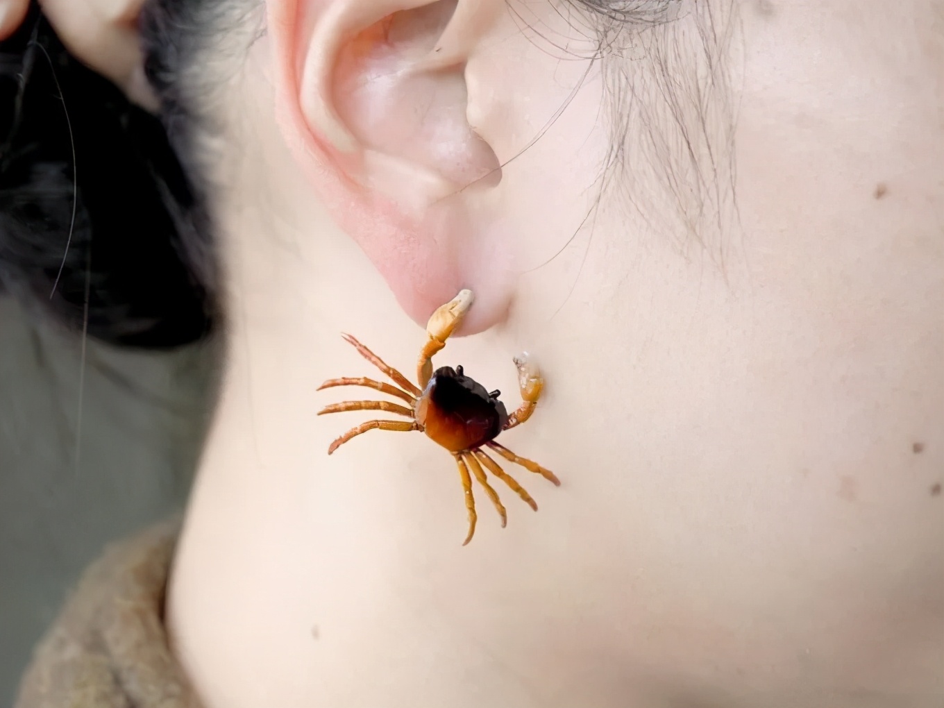 辣眼睛设计,辣眼睛的3d建模