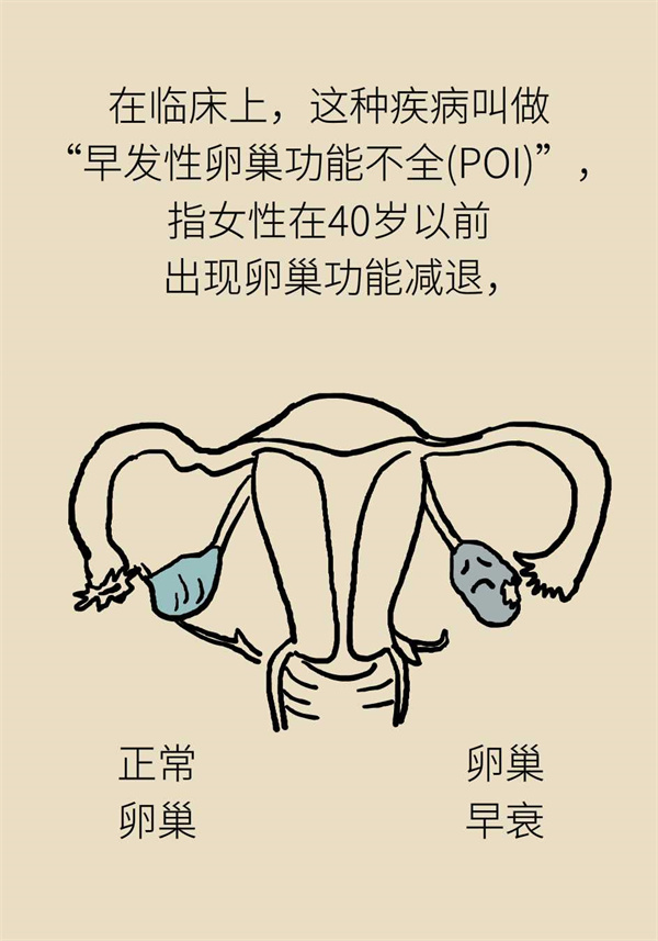 卵巢功能衰退怎么样保胎呢,卵巢功能衰退卵子质量不好怎么办