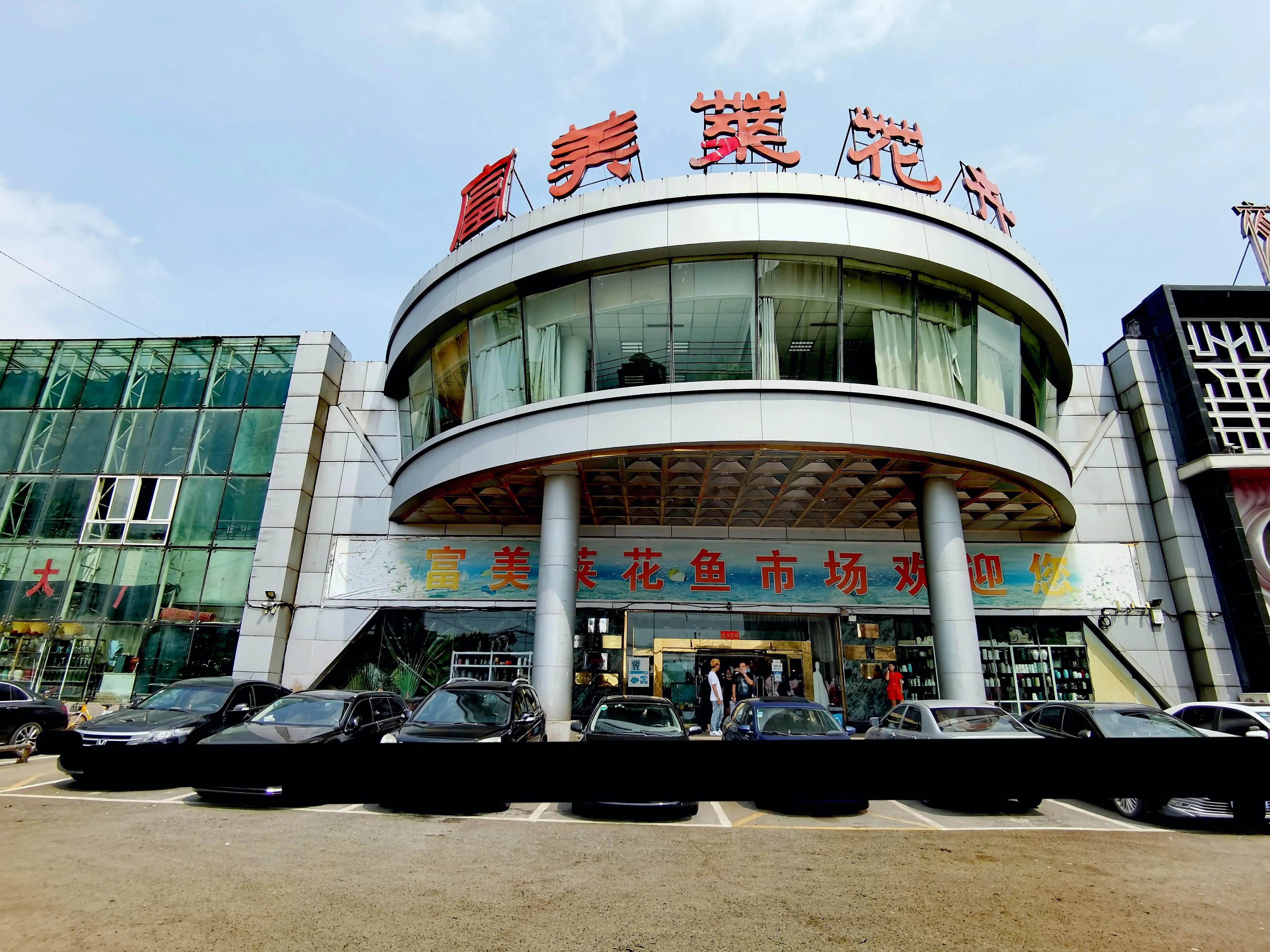 沈阳花卉市场搬哪去了,沈阳花卉市场批发各种绿植