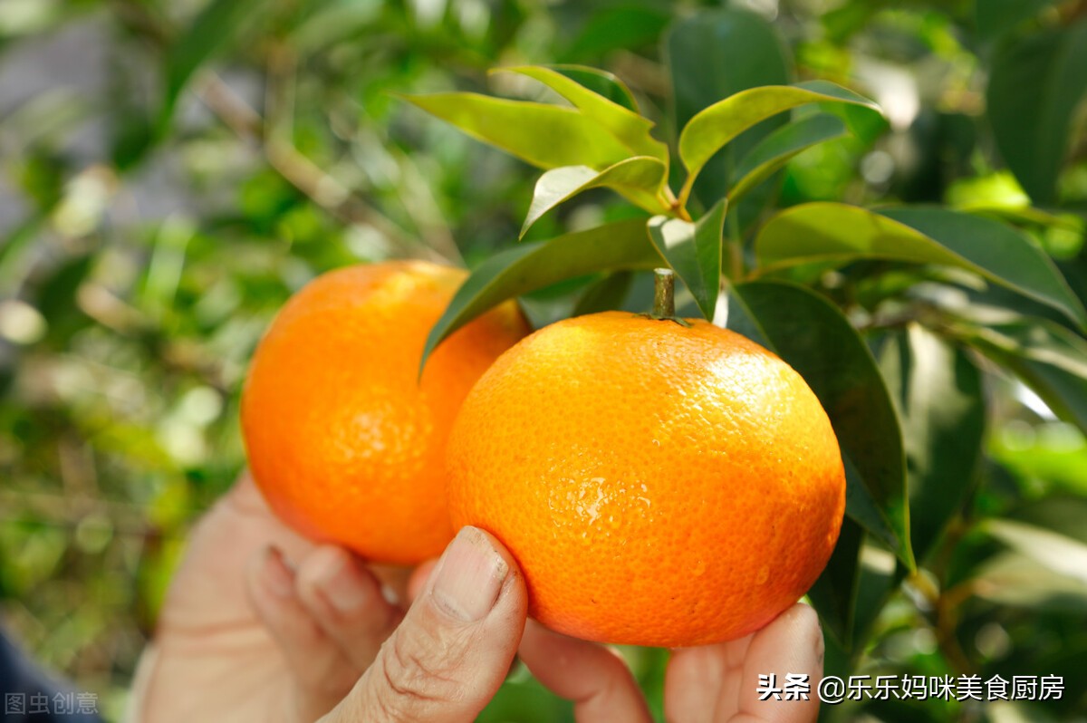 全中国哪里的橙子最好吃？经过评比，5个产地备受欢迎，橙中佳品