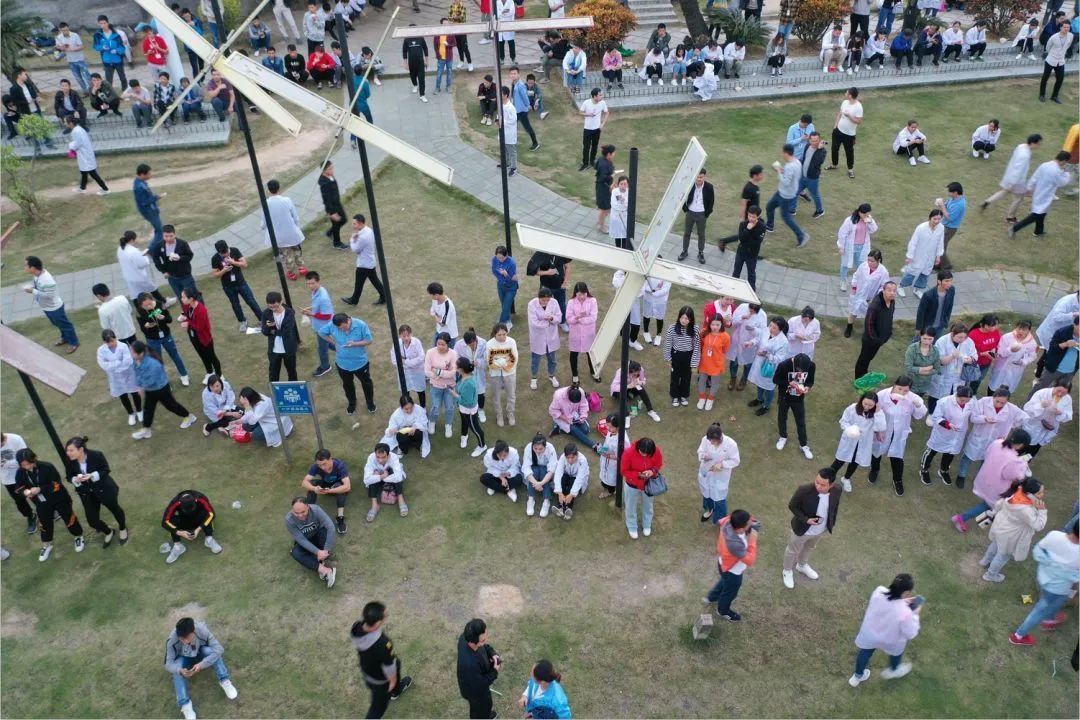 100个创意生日会,幼儿园动物主题生日会方案创意