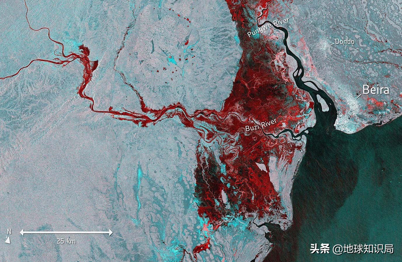 非洲，正在挨饿，无人关心|地球知识局