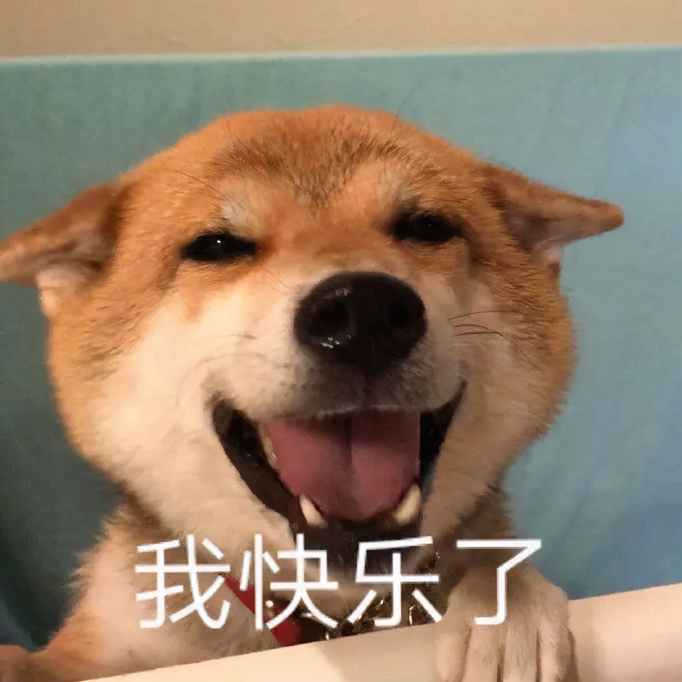 很好看的国货品牌,好吃的国货良心推荐