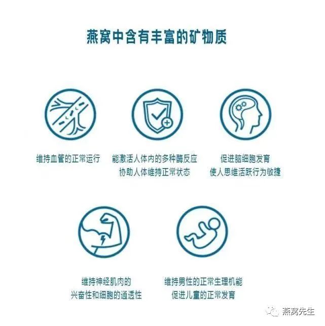 燕窝选购知识雨季燕窝和旱季燕窝,燕窝和燕窝有什么区别