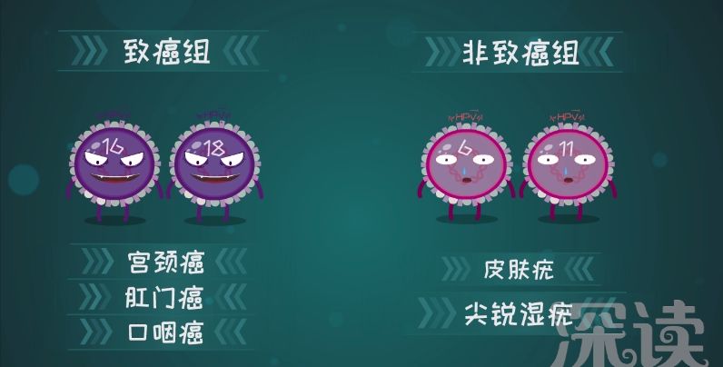 什么是hpv疫苗九价和四价,hpv疫苗有必要打吗二价和四价区别