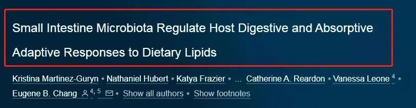 莫名拉肚子吃什么药,莫名其妙拉肚子又很容易上火