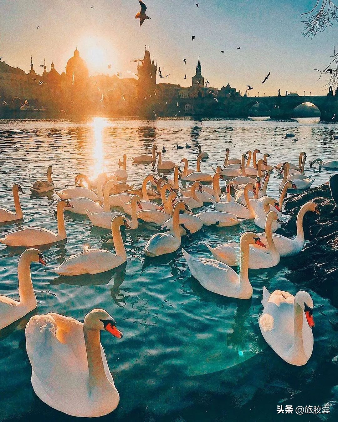 五一想去布拉格,这辈子总要去一次布拉格