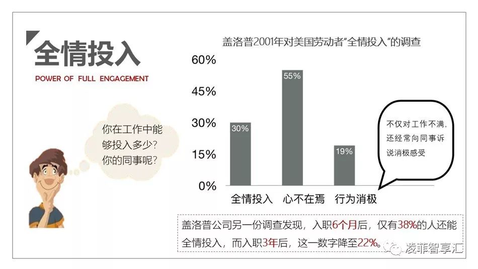 《精力管理》心得感悟,精力管理读后感
