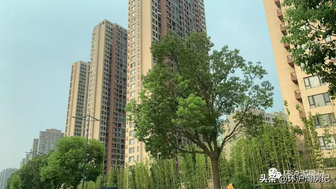 退房率高达50%？！新政后的花桥楼市实探来了！（最全版）