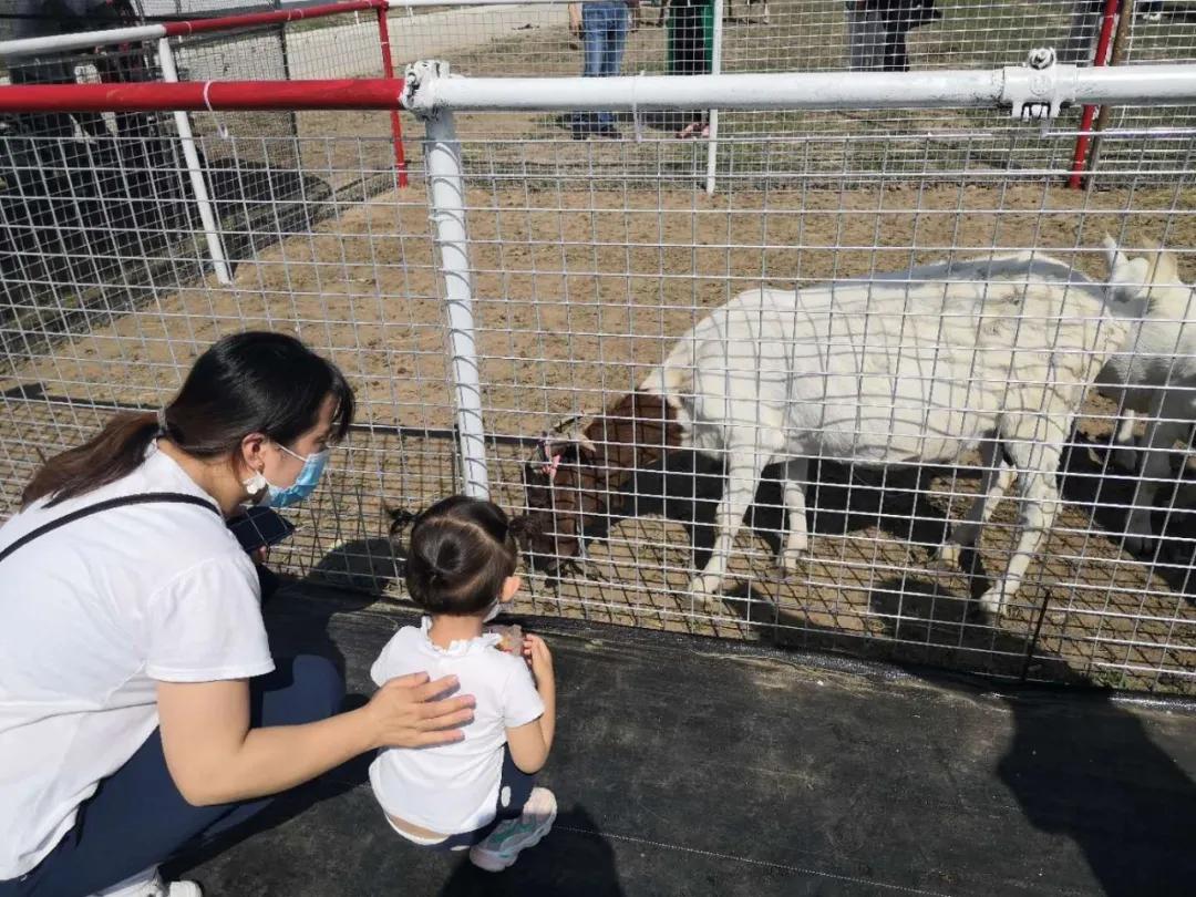 央媒集体点赞,央视新闻联播点赞9万亩小麦