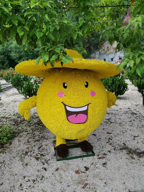 女生选植物保护专业就业前景,植物保护研究生就业现状