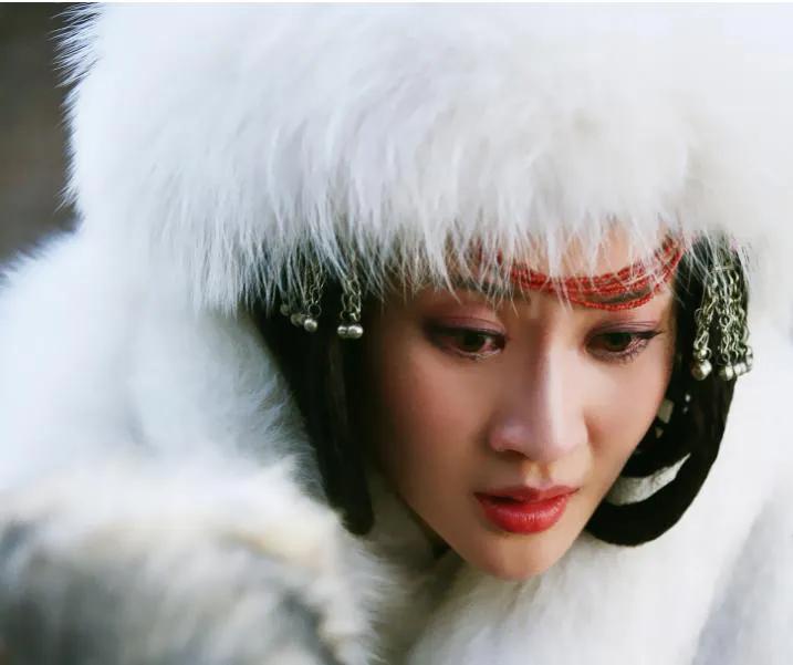 金朝大定之治,金国皇帝完颜雍简介