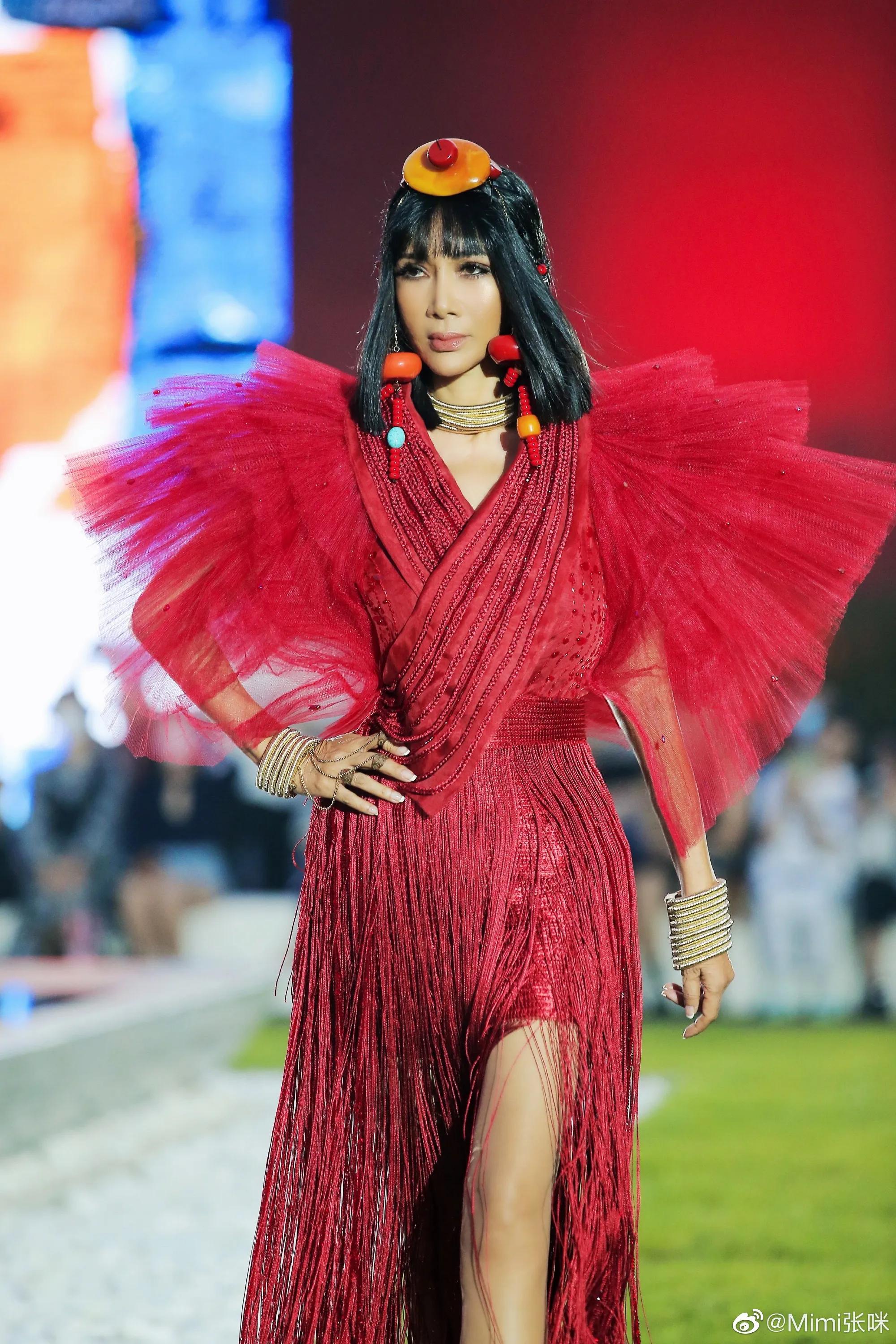 张咪评价毛宁现状,张咪和毛宁最新消息