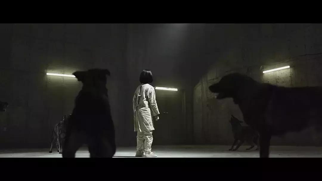 韩国拳拳到肉高分动作电影,一部拳拳到肉的动作片电影