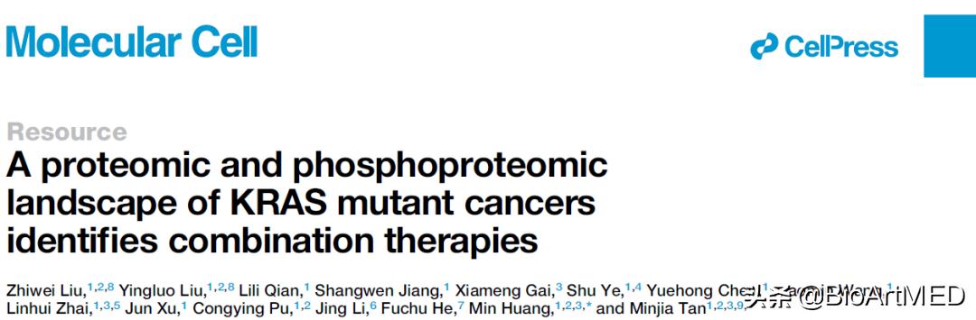 kras突变肺腺癌治疗方案,kras基因突变的靶向药与免疫治疗