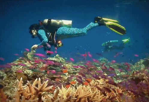 有个岛国，比美马代，比海南便宜，机票500起！