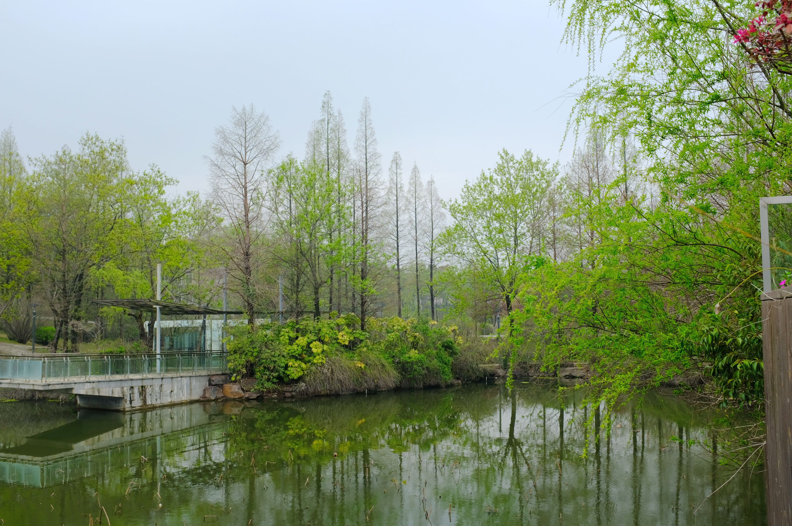 地方清明时节特色美食,清明各地方美食