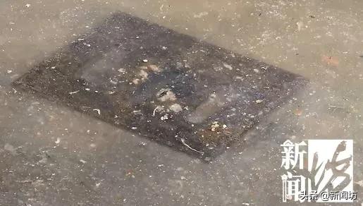 练水上漂，踏“梅花桩”，上海一小区居民出个门太难了