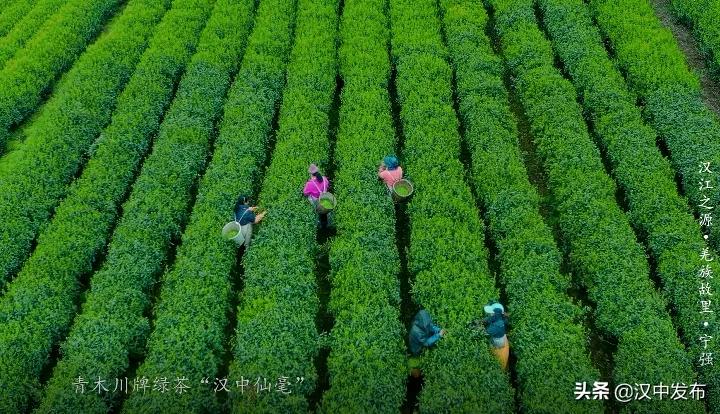 三千里汉江第一城宁强,中国三千里汉江第一城